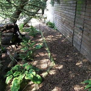 In the Secret Garden, 24th July 2014