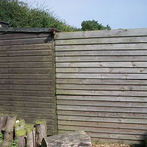 In the Secret Garden, 24th July 2014