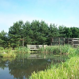 Looking across the Wildlife Pond, 24th July 2014