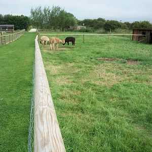 New railings on fencing, 24th July 2014