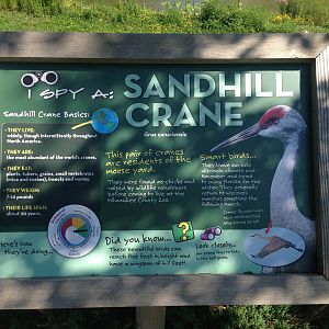 7/23/2014 - New Sandhill Crane Sign