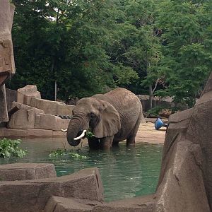 7/16/2014 - Ruth Taking a Dip