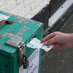 What are you wondering - why is KeeperKatie popping ?5 into the zoo donatio