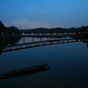 River Safari After Dark