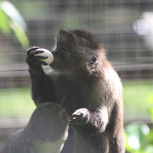 Linford enjoys an egg, 27th July 2014