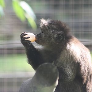 Linford enjoys an egg, 27th July 2014