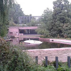 Hippo outdoor-enclosure