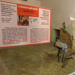 Wrong signage? Doesn't matter for hairless apes