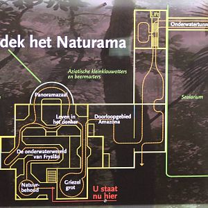 Plan of Naturama