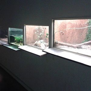 Enclosures smaller animals