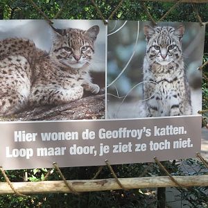 Geoffrey cat sign