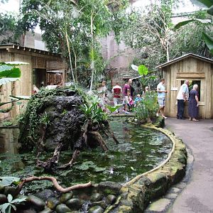 Tropical Realm Interior at Chester, 27/07/14
