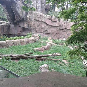 View into the Lion enclosure