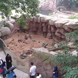 Meerkat enclosure number 2