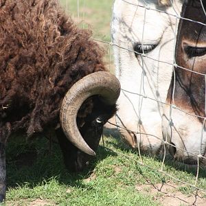 A meeting of minds? 24th July 2014