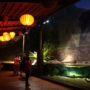 River Safari After Dark