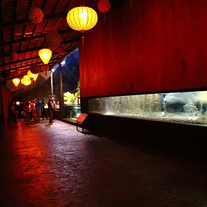 River Safari After Dark