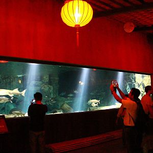 River Safari After Dark