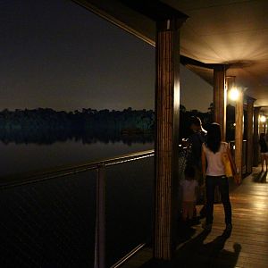 River Safari After Dark