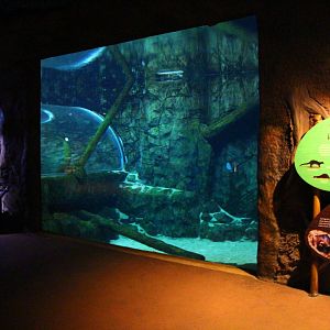 River Safari After Dark