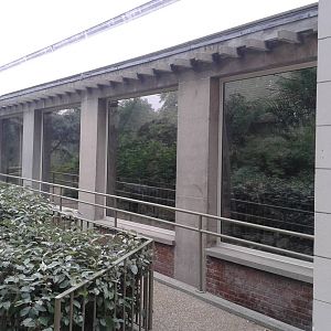 Reptilian walk through from the outside