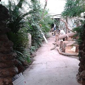 Reptilian walk-through from the inside