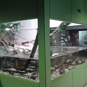 Sail-fin lizard and turtle enclosure