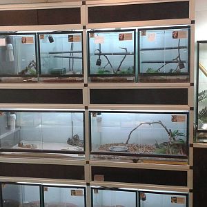 Reptile raising room