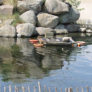 Common seal enclosure