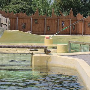 Harbor porpoise enclosure