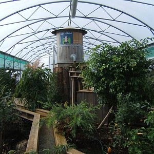 View inside the Butterfly House
