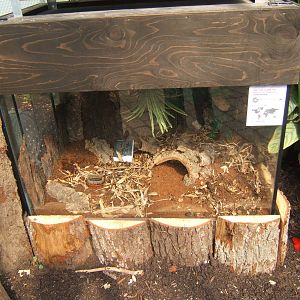 Spider exhibit in Butterfly House