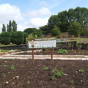 A great looking addition to the zoo