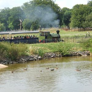View of waterfowl lake with Steam train