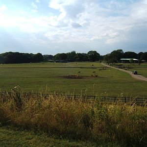 View from the top of Mount Whipsnade