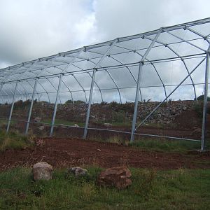 New South American Bird Aviary