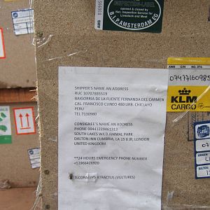 View of some empty crates showing a new arrival