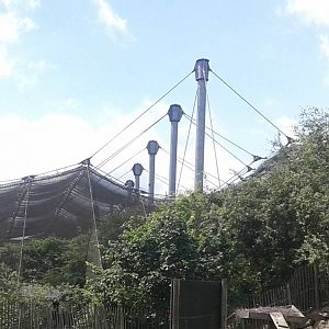 European walk-through aviary