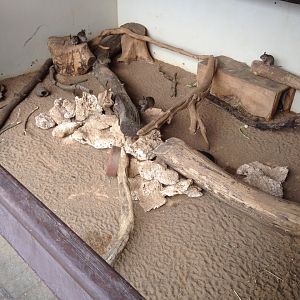 Outdoor Deg Enclosure