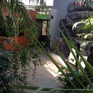 General View in the Tropical Hall