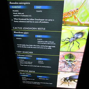 signage bughouse houston zoo