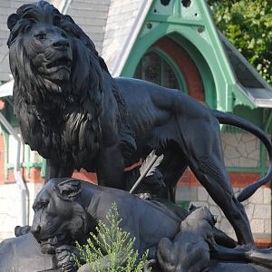 Lion Statue