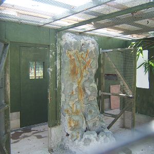 View of Aviary being refurbed