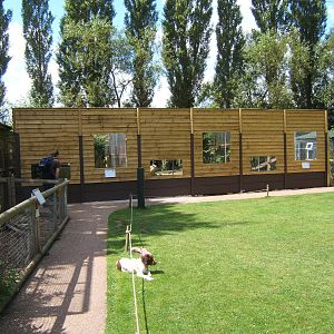 View of the enlarged Wolf hybrid cage