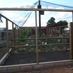 View of new Aviary