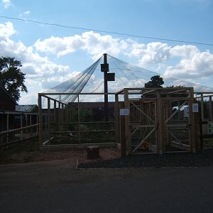 View of new Aviary