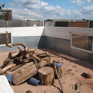 View of Meerkat enclosure