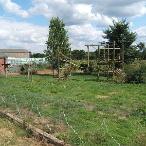Red-ruffed Lemur exhibit
