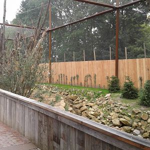 Invasive species enclosure