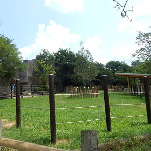 Jul. 2014 - Asia Quest - Pachyderms - Rhino Trek (Renovated)